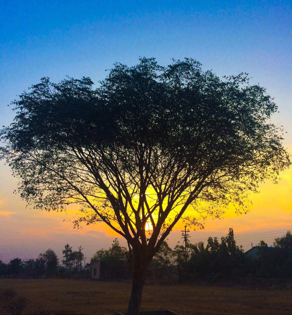 vidyavardhini